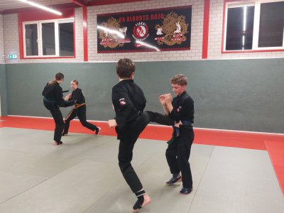 Klik voor een grotere weergave, 20260212_204424.jpg