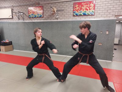 Klik voor een grotere weergave, 20260212_210105.jpg