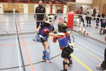 Klik voor een grotere weergave, IMG_8146.JPG