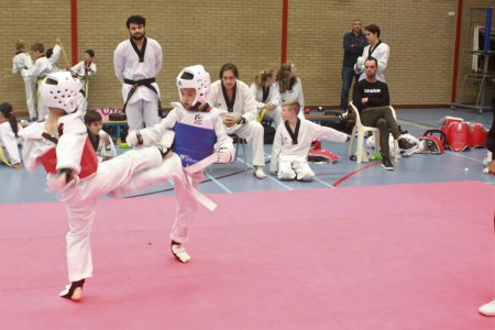 Klik voor een grotere weergave, IMG_8172.JPG