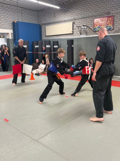 Klik voor een grotere weergave, PCVE4060.jpg